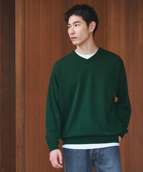 green label relaxing/グリーンレーベル リラクシング プレーン レイヤード Vネック ニット DK. GREEN XL