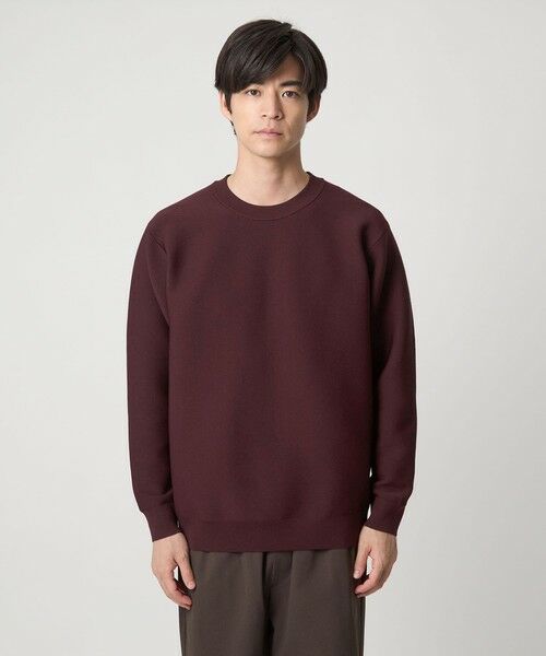 green label relaxing / グリーンレーベル リラクシング ニット・セーター | 【WEB限定】ガータークルー ニット | 詳細17