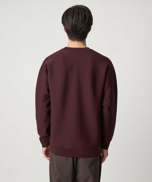 green label relaxing / グリーンレーベル リラクシング ニット・セーター | 【WEB限定】ガータークルー ニット | 詳細19