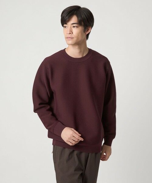 green label relaxing/グリーンレーベル リラクシング 【WEB限定】ガータークルー ニット WINE M green label relaxing/グリーンレーベル リラクシング 【WEB限定】ガータークルー ニット WINE M