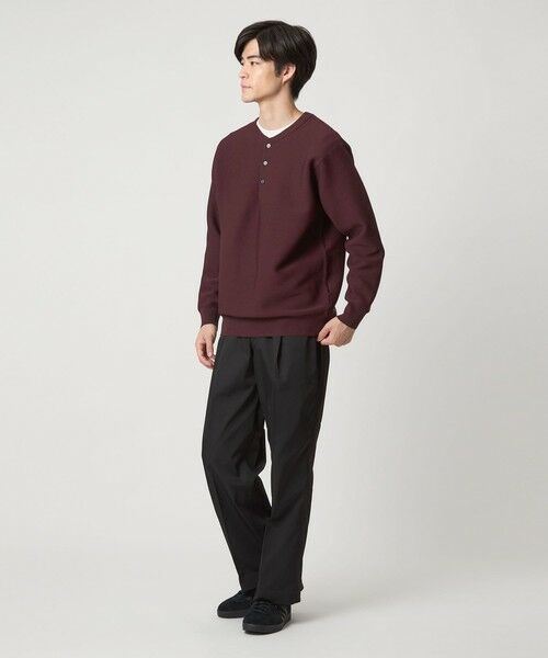 green label relaxing / グリーンレーベル リラクシング ニット・セーター | 【WEB限定】ガーターヘンリー ニット | 詳細14