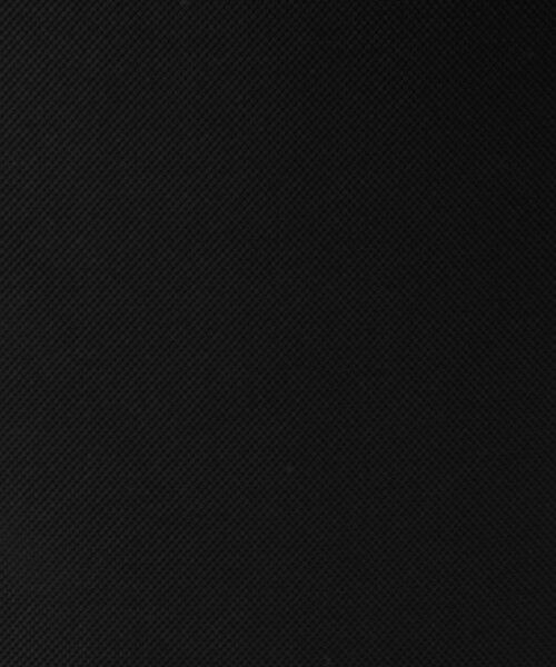 green label relaxing / グリーンレーベル リラクシング リュック・バックパック | ＜Columbia＞タイガーブルック 20L＋ バックパック リュック | 詳細6