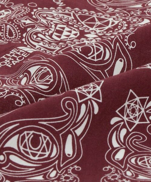 green label relaxing / グリーンレーベル リラクシング バンダナ・スカーフ | ＜THE NORTH FACE＞ペイズリー バンダナ | 詳細6