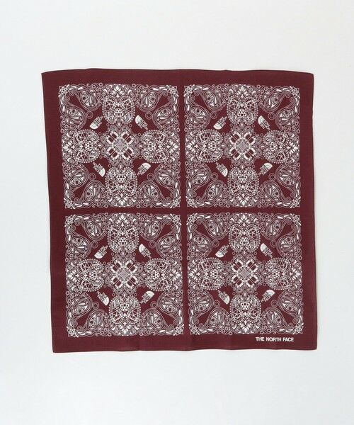 green label relaxing / グリーンレーベル リラクシング バンダナ・スカーフ | ＜THE NORTH FACE＞ペイズリー バンダナ | 詳細4