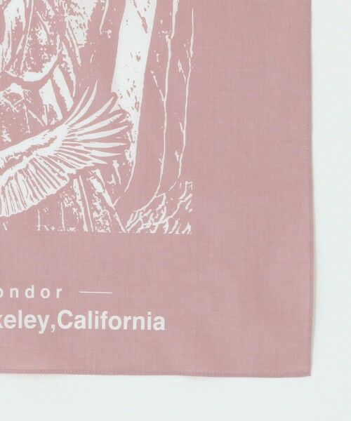 green label relaxing / グリーンレーベル リラクシング バンダナ・スカーフ | ＜THE NORTH FACE＞カリフォルニア バンダナ | 詳細2