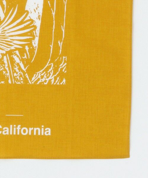 green label relaxing / グリーンレーベル リラクシング バンダナ・スカーフ | ＜THE NORTH FACE＞カリフォルニア バンダナ | 詳細9