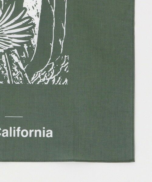 green label relaxing / グリーンレーベル リラクシング バンダナ・スカーフ | ＜THE NORTH FACE＞カリフォルニア バンダナ | 詳細12