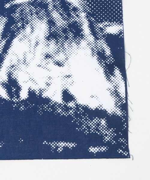 green label relaxing / グリーンレーベル リラクシング バンダナ・スカーフ | ＜THE NORTH FACE＞ヨセミテ 手拭 | 詳細5