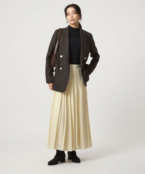 green label relaxing / グリーンレーベル リラクシング ロング・マキシ丈スカート | シアー プリーツ スカート | 詳細28