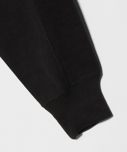 green label relaxing / グリーンレーベル リラクシング カットソー | 【WEB限定】＜at ease＞ダブルフェイス プルオーバー カットソー | 詳細10