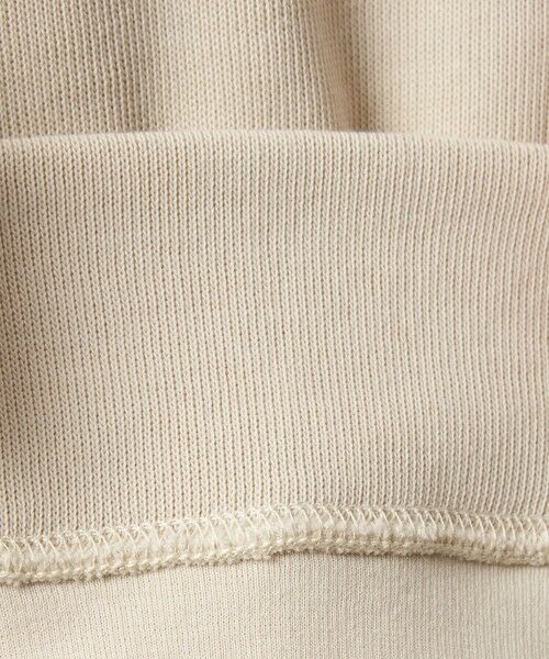 green label relaxing / グリーンレーベル リラクシング カットソー | 【WEB限定】＜at ease＞ダブルフェイス プルオーバー カットソー | 詳細27