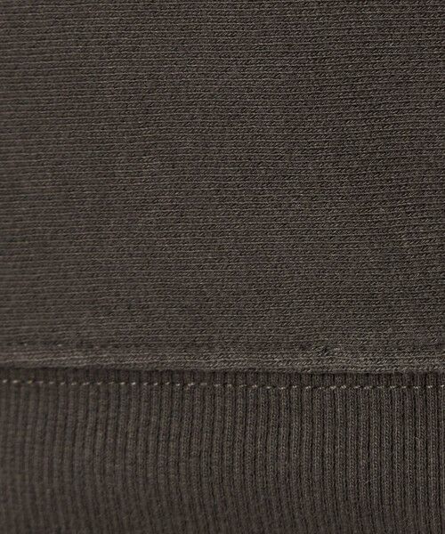 green label relaxing / グリーンレーベル リラクシング スウェット | ＜at ease＞PEANUTS スウエット プルオーバー | 詳細18