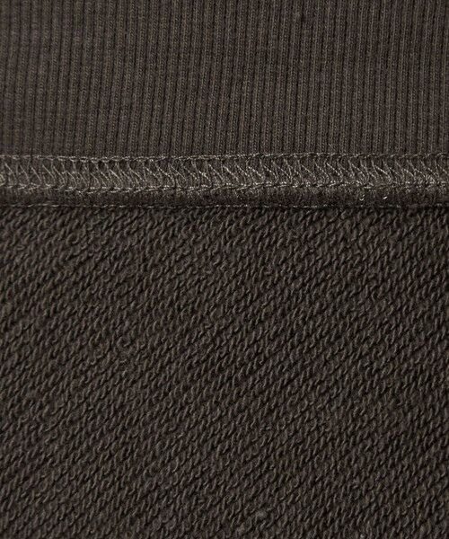 green label relaxing / グリーンレーベル リラクシング スウェット | ＜at ease＞PEANUTS スウエット プルオーバー | 詳細19