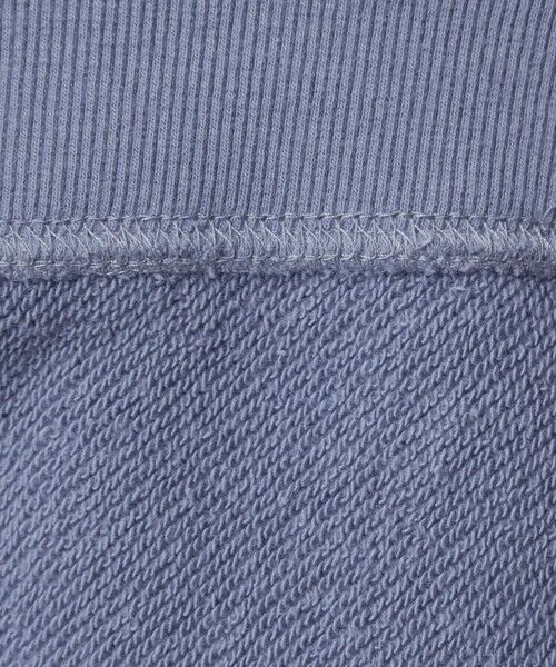 green label relaxing / グリーンレーベル リラクシング スウェット | ＜at ease＞PEANUTS スウエット プルオーバー | 詳細27