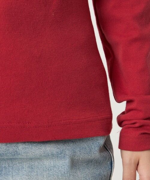 green label relaxing / グリーンレーベル リラクシング カットソー | ＜gicipi＞PREZZEMO タートルネック プルオーバー | 詳細17