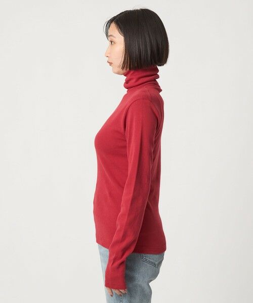 green label relaxing / グリーンレーベル リラクシング カットソー | ＜gicipi＞PREZZEMO タートルネック プルオーバー | 詳細13