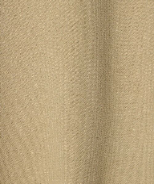 green label relaxing / グリーンレーベル リラクシング スウェット | ＜LACOSTE＞ロングスリーブ スウェット | 詳細15