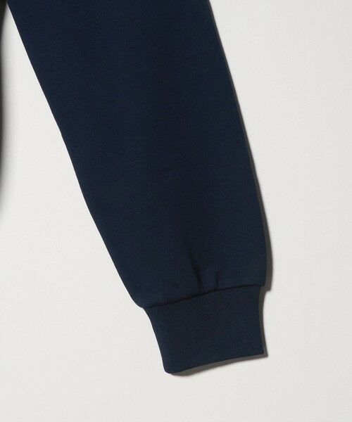 green label relaxing / グリーンレーベル リラクシング スウェット | ＜LACOSTE＞ロングスリーブ スウェット | 詳細25