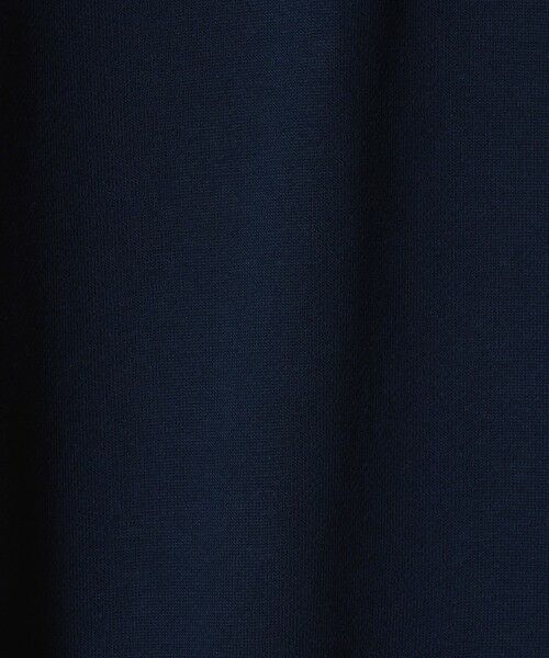 green label relaxing / グリーンレーベル リラクシング スウェット | ＜LACOSTE＞ロングスリーブ スウェット | 詳細28