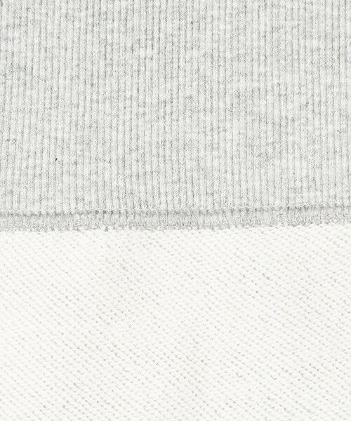 green label relaxing / グリーンレーベル リラクシング パーカー | 【別注】＜Champion＞フード ジップ パーカー | 詳細12