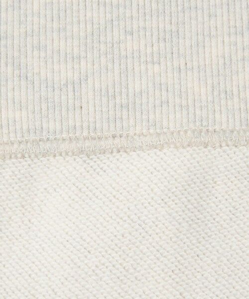 green label relaxing / グリーンレーベル リラクシング パーカー | 【別注】＜Champion＞フード ジップ パーカー | 詳細19