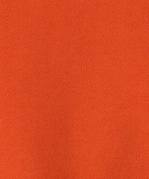 green label relaxing / グリーンレーベル リラクシング スウェット | ＜Champion＞クルーネック スウェットシャツ  / トレーナー / キッズ 110cm-130cm | 詳細21