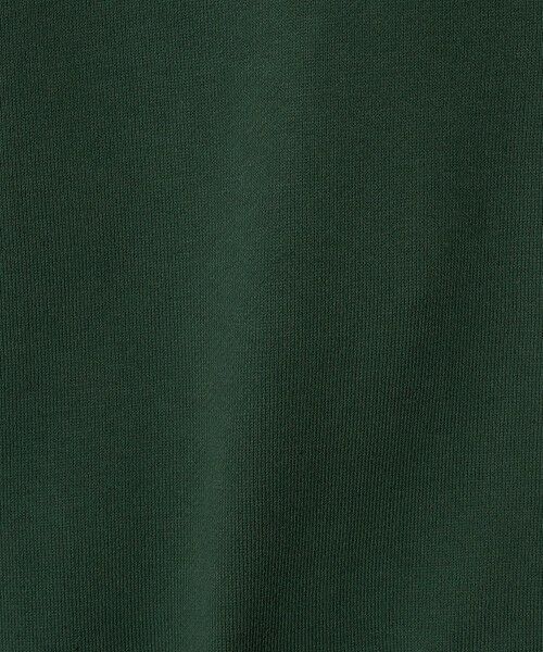 green label relaxing / グリーンレーベル リラクシング スウェット | ＜Champion＞クルーネックスウェットシャツ / トレーナー / キッズ  110cm-130cm | 詳細11