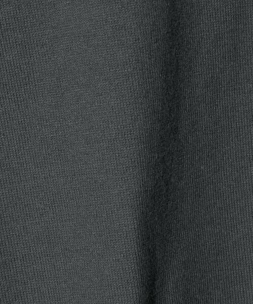 green label relaxing / グリーンレーベル リラクシング カットソー | ＜UNIVERSAL OVERALL＞フォトプリント プルオーバー / キッズ  100cm-130cm | 詳細15