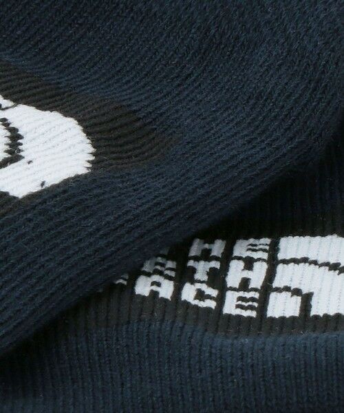 green label relaxing / グリーンレーベル リラクシング ソックス | ＜THE NORTH FACE＞ソックス3P（ベビー） / 靴下 / キッズ | 詳細26