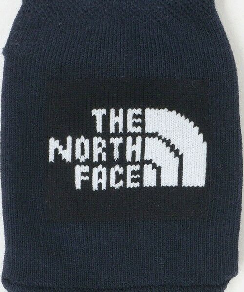 green label relaxing / グリーンレーベル リラクシング ソックス | ＜THE NORTH FACE＞ソックス3P（ベビー） / 靴下 / キッズ | 詳細27