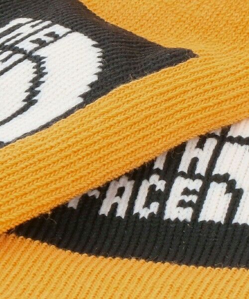 green label relaxing / グリーンレーベル リラクシング ソックス | ＜THE NORTH FACE＞ソックス3P（ベビー） / 靴下 / キッズ | 詳細16