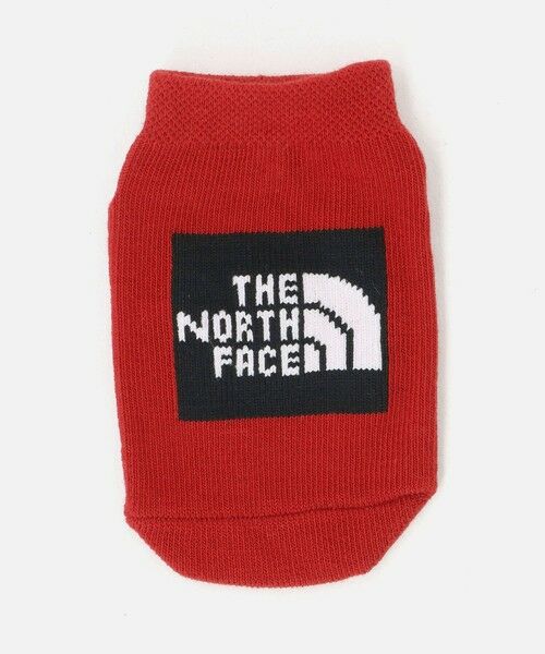 green label relaxing / グリーンレーベル リラクシング ソックス | ＜THE NORTH FACE＞ソックス3P（ベビー） / 靴下 / キッズ | 詳細20