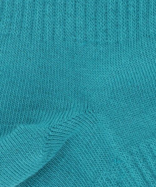 green label relaxing / グリーンレーベル リラクシング ソックス | ＜THE NORTH FACE＞ジャカード ロゴ 3P クルー / 靴下 / キッズ | 詳細21