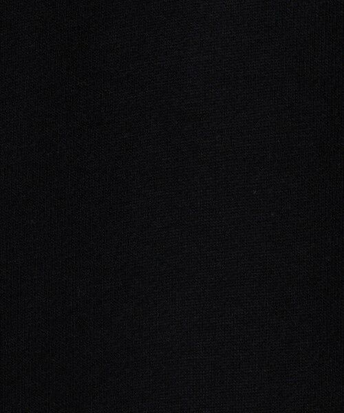 green label relaxing / グリーンレーベル リラクシング スウェット | ＜Champion＞クルーネック スウェットシャツ  / トレーナー / キッズ 140cm-160cm | 詳細4