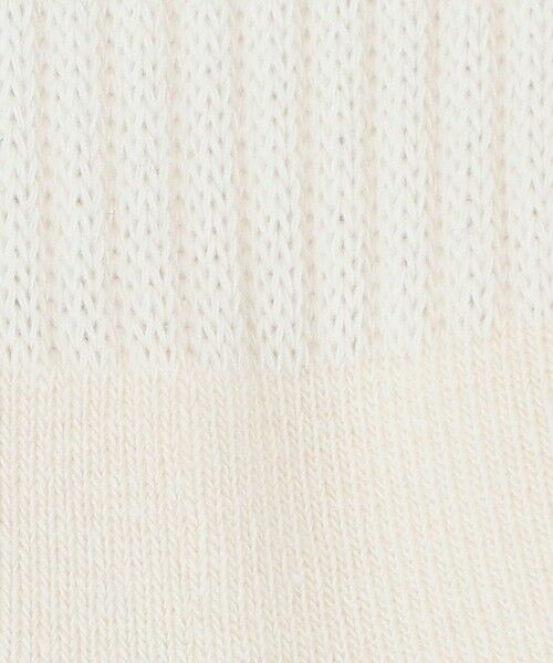 green label relaxing / グリーンレーベル リラクシング ソックス | ＜Healthknit＞バックロゴ ソックス / 靴下 / キッズ  19cm-21cm | 詳細2