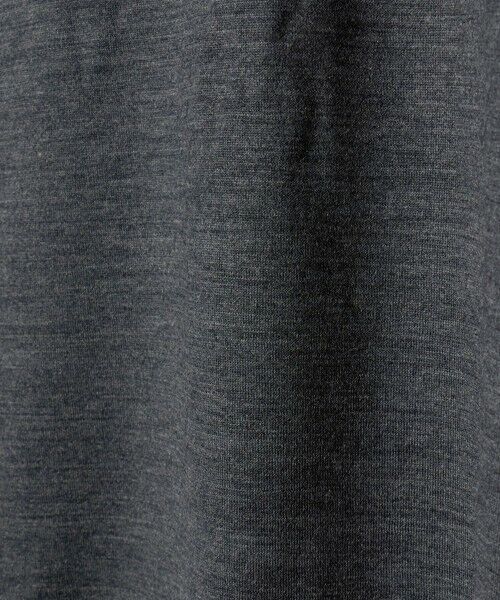 green label relaxing / グリーンレーベル リラクシング カットソー | ＜SLOANE＞ウール タートルネック ロングスリーブ ニット Tシャツ | 詳細7