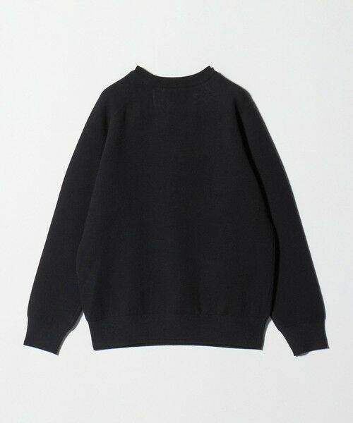 green label relaxing / グリーンレーベル リラクシング ニット・セーター | ＜SLOANE＞12G ダブルフェイス クルーネック ニット | 詳細1