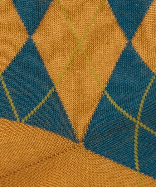 green label relaxing / グリーンレーベル リラクシング ソックス | ＜CONLEAD＞アーガイル ソックス | 詳細3