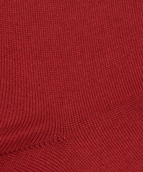 green label relaxing / グリーンレーベル リラクシング ソックス | ＜CONLEAD＞シルク ソリッド ソックス | 詳細1