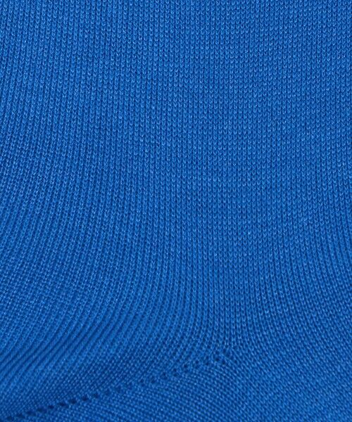 green label relaxing / グリーンレーベル リラクシング ソックス | ＜CONLEAD＞シルク ソリッド ソックス | 詳細3