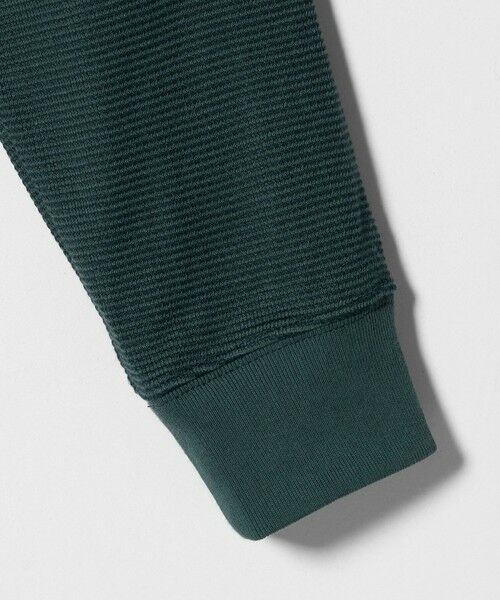 green label relaxing / グリーンレーベル リラクシング カットソー | ミラノ リブ ダブルフェイス クルーネック カットソー | 詳細19