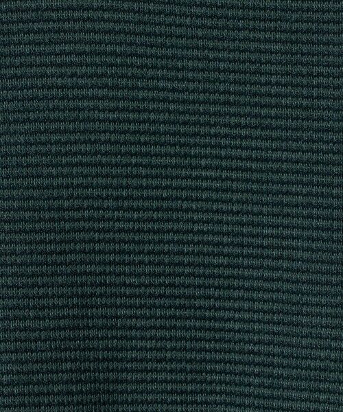 green label relaxing / グリーンレーベル リラクシング カットソー | ミラノ リブ ダブルフェイス クルーネック カットソー | 詳細21