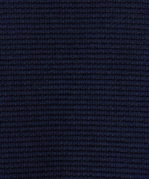 green label relaxing / グリーンレーベル リラクシング カットソー | ミラノ リブ ダブルフェイス クルーネック カットソー | 詳細30