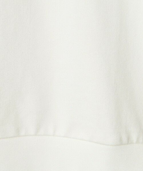 green label relaxing / グリーンレーベル リラクシング スウェット | ＜Phospho Graphica＞フレンチ ロングスリーブ Tシャツ スウェット | 詳細6