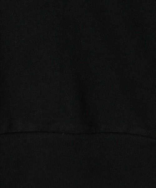 green label relaxing / グリーンレーベル リラクシング スウェット | ＜Phospho Graphica＞フレンチ ロングスリーブ Tシャツ スウェット | 詳細12