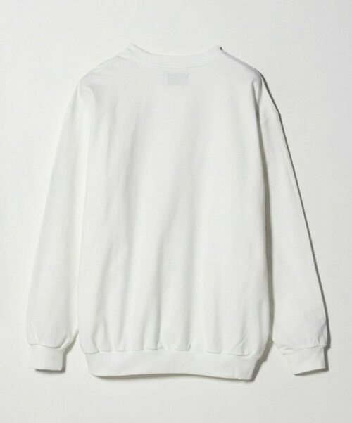 green label relaxing / グリーンレーベル リラクシング カットソー | 【別注】＜Marmot＞GLR スタビリティ ロングスリーブ Tシャツ | 詳細5