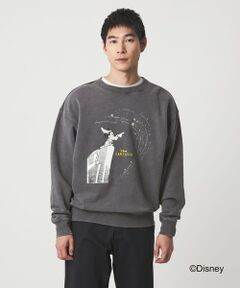 green label relaxing / グリーンレーベル リラクシング スウェット | 【別注】＜GOOD ROCK SPEED＞GLR FANTASIA スウェット