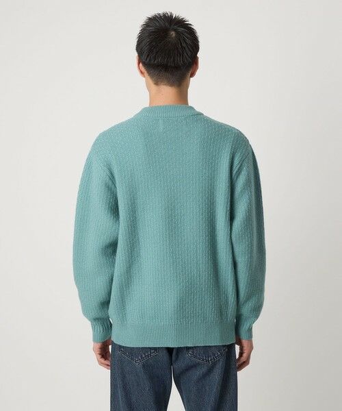 green label relaxing / グリーンレーベル リラクシング ニット・セーター | ハミルトンラム ワイドネック ニット | 詳細12