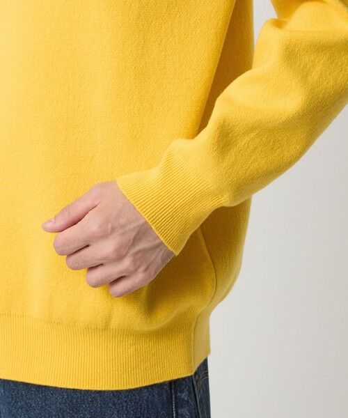 green label relaxing / グリーンレーベル リラクシング ニット・セーター | ダブルフェイス クルーネック ニット | 詳細14