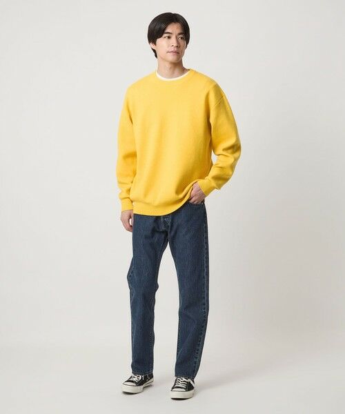 green label relaxing / グリーンレーベル リラクシング ニット・セーター | ダブルフェイス クルーネック ニット | 詳細9